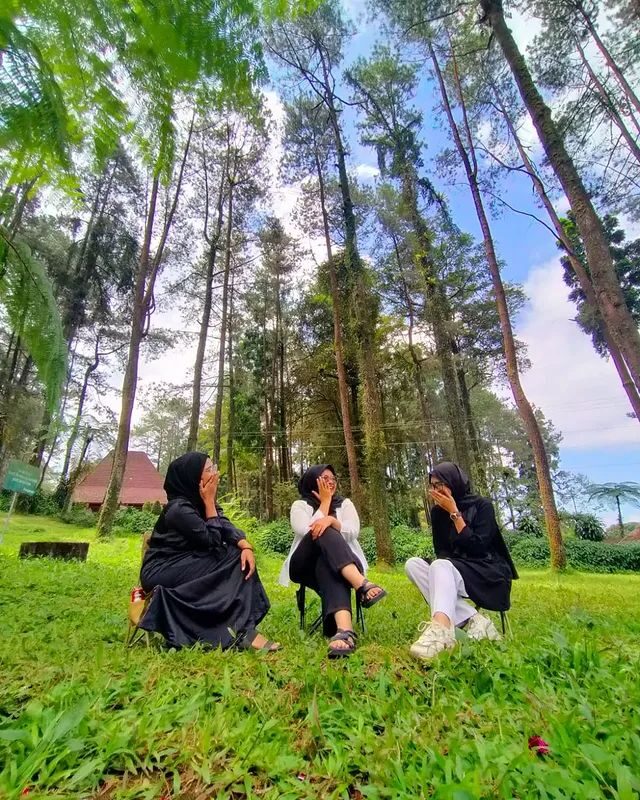 Tiga orang tertawa di kursi lipat di bawah hutan pinus tinggi