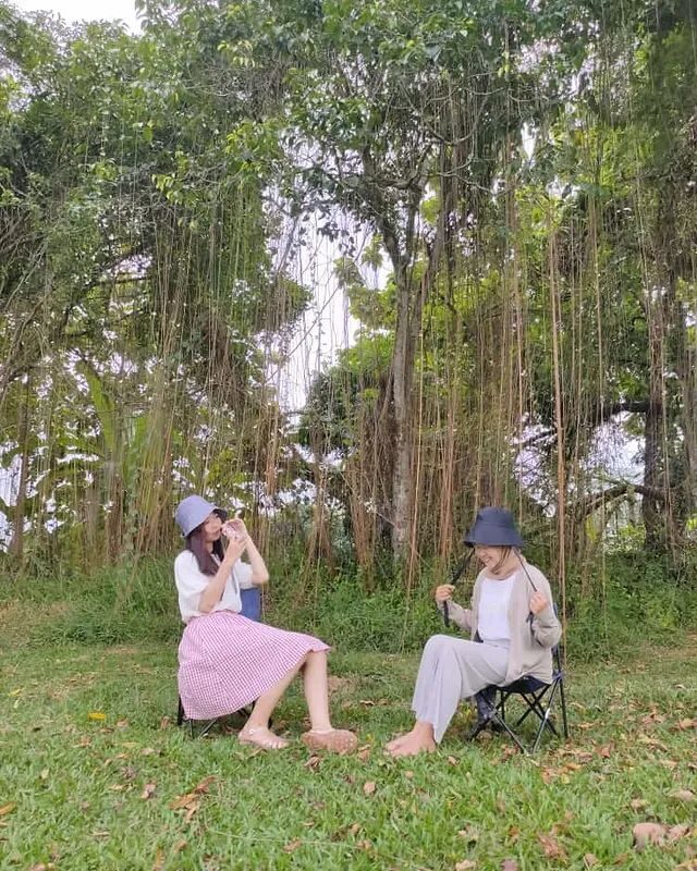 Dua orang duduk di kursi lipat di lereng kebun teh di antara pohon pinus